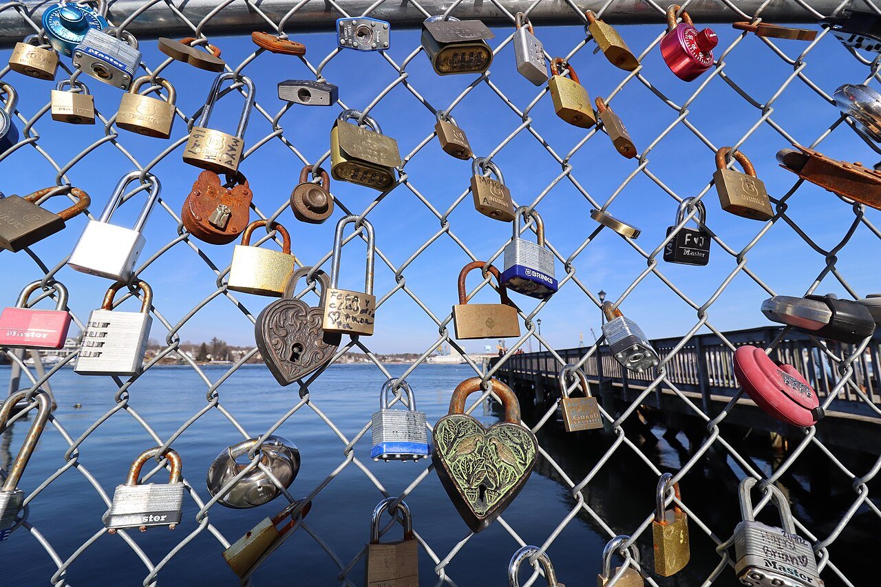 Locks on a fence